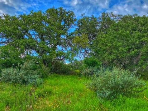 0000 Cr 296 Richland Springs TX 78761
