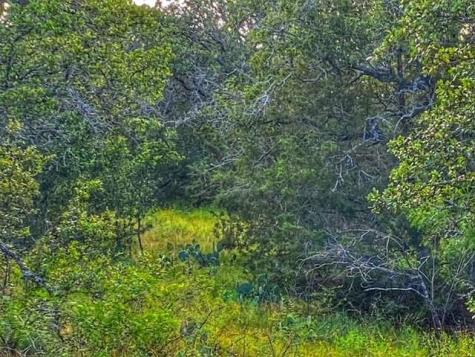 0000 Cr 296 Richland Springs TX 78761