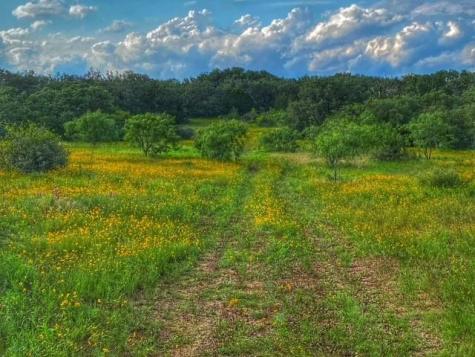 0000 Cr 296 Richland Springs TX 78761