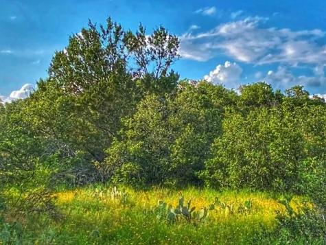 0000 Cr 296 Richland Springs TX 78761