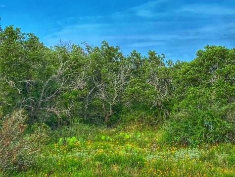 0000 Cr 296 Richland Springs TX 78761