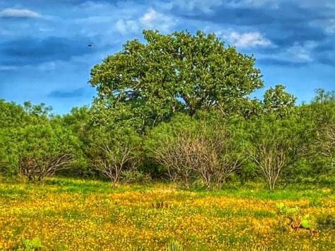 0000 Cr 296 Richland Springs TX 78761