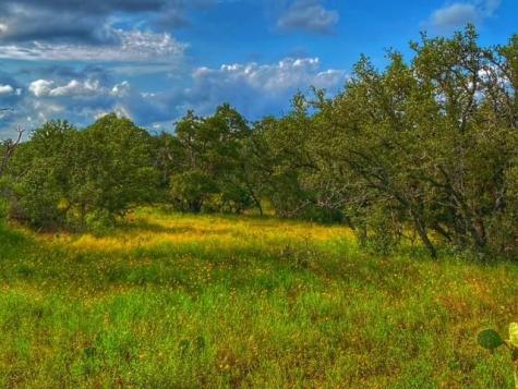 0000 Cr 296 Richland Springs TX 78761