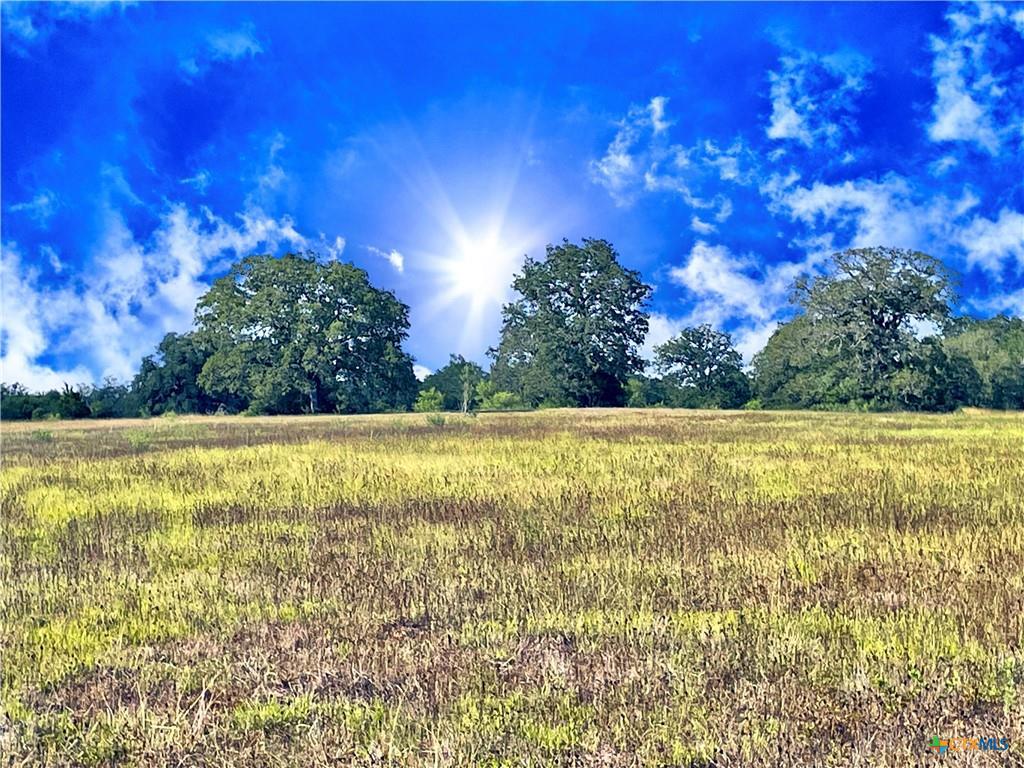 5350 Soda Springs Road Luling TX 78648