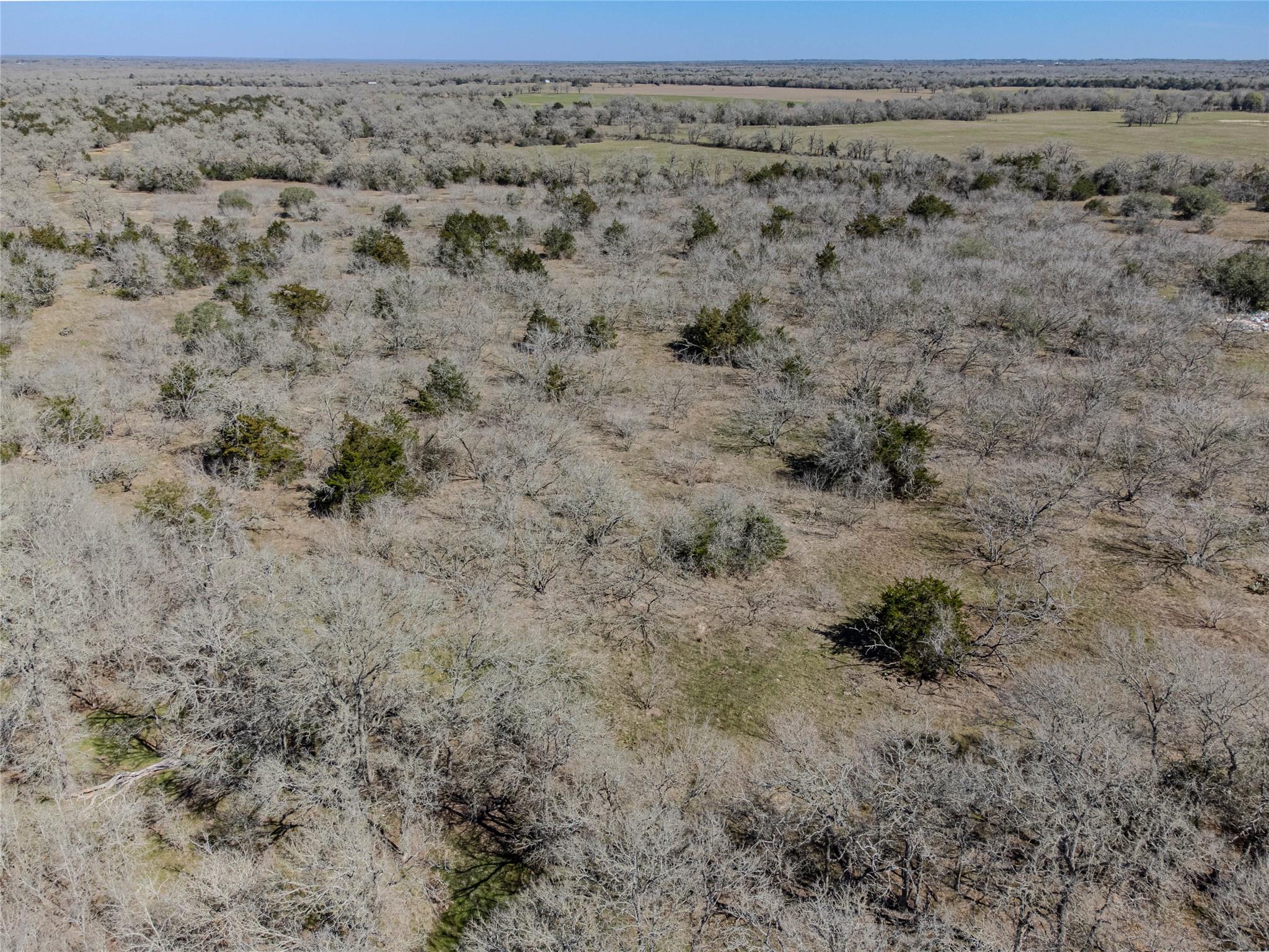 Tbd Nikel-mica Road Flatonia TX 78941