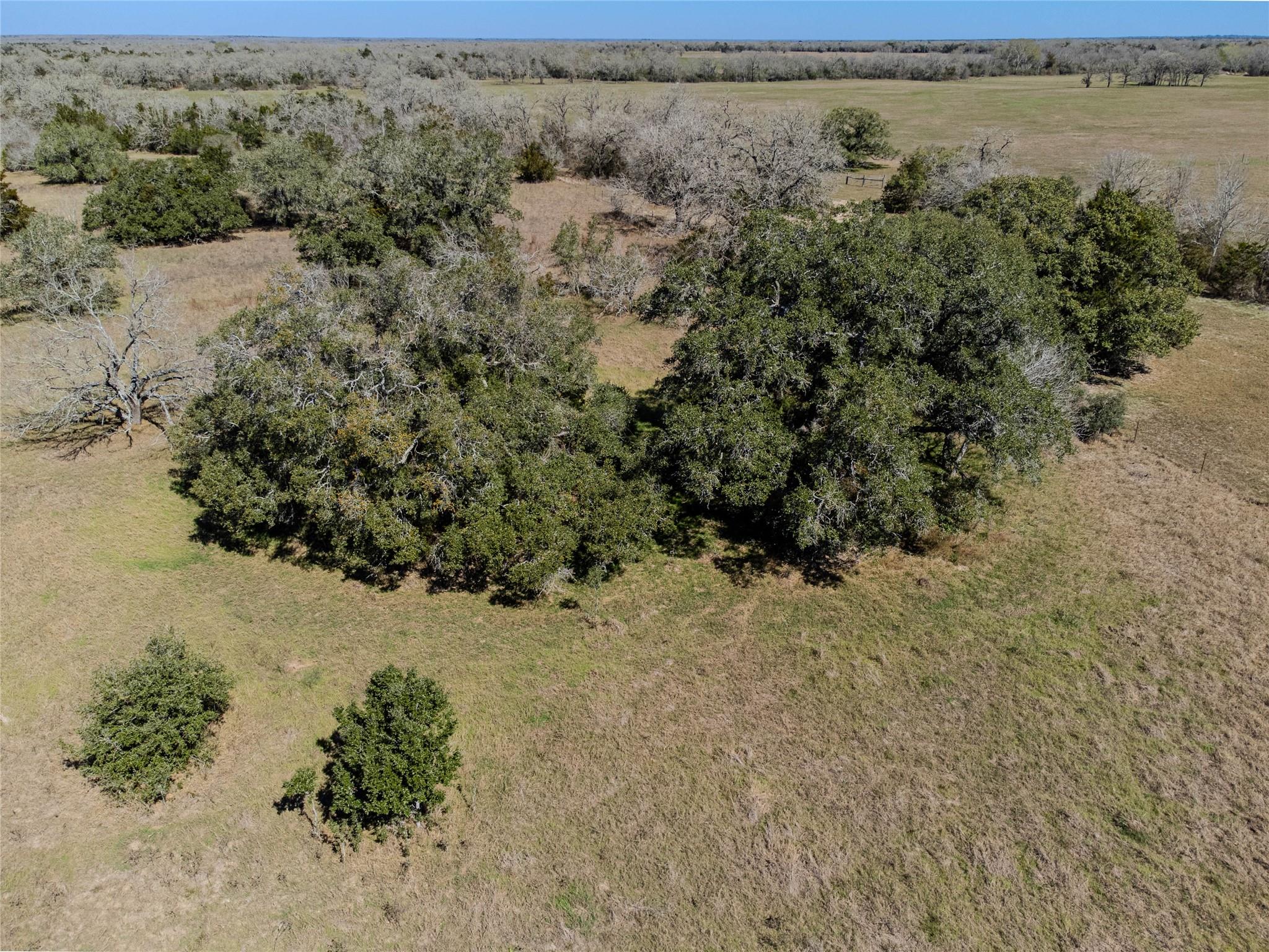 Tbd Nikel-mica Road Flatonia TX 78941