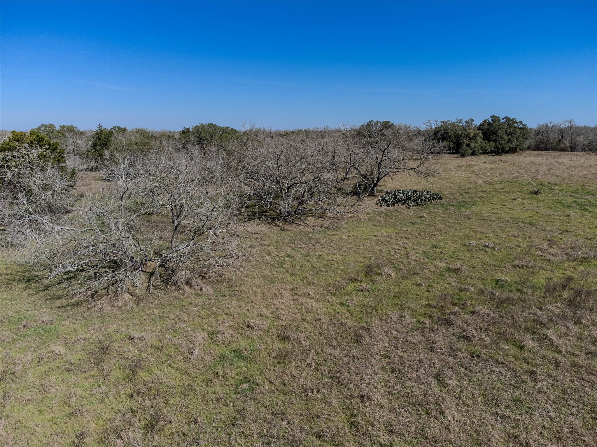 Tbd Nikel-mica Road Flatonia TX 78941