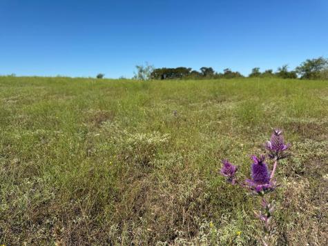 10.15 Ac Fm 2409 Road Temple TX 76504
