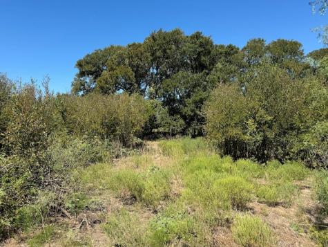 10.15 Ac Fm 2409 Road Temple TX 76504
