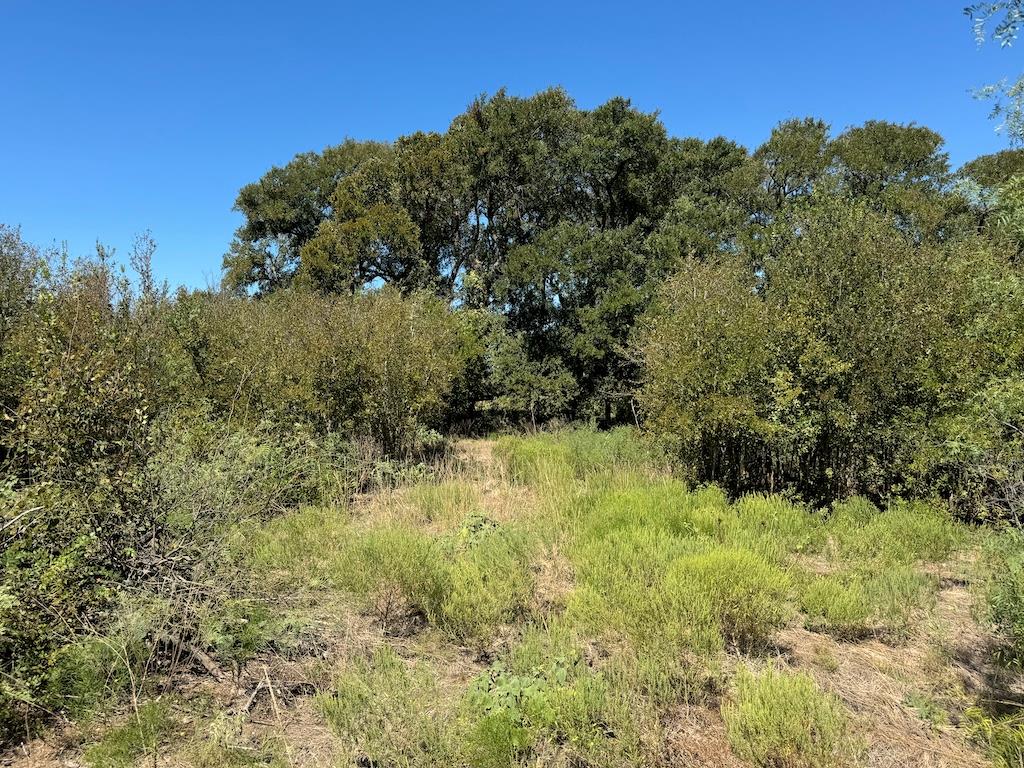 10.15 Ac Fm 2409 Road Temple TX 76504