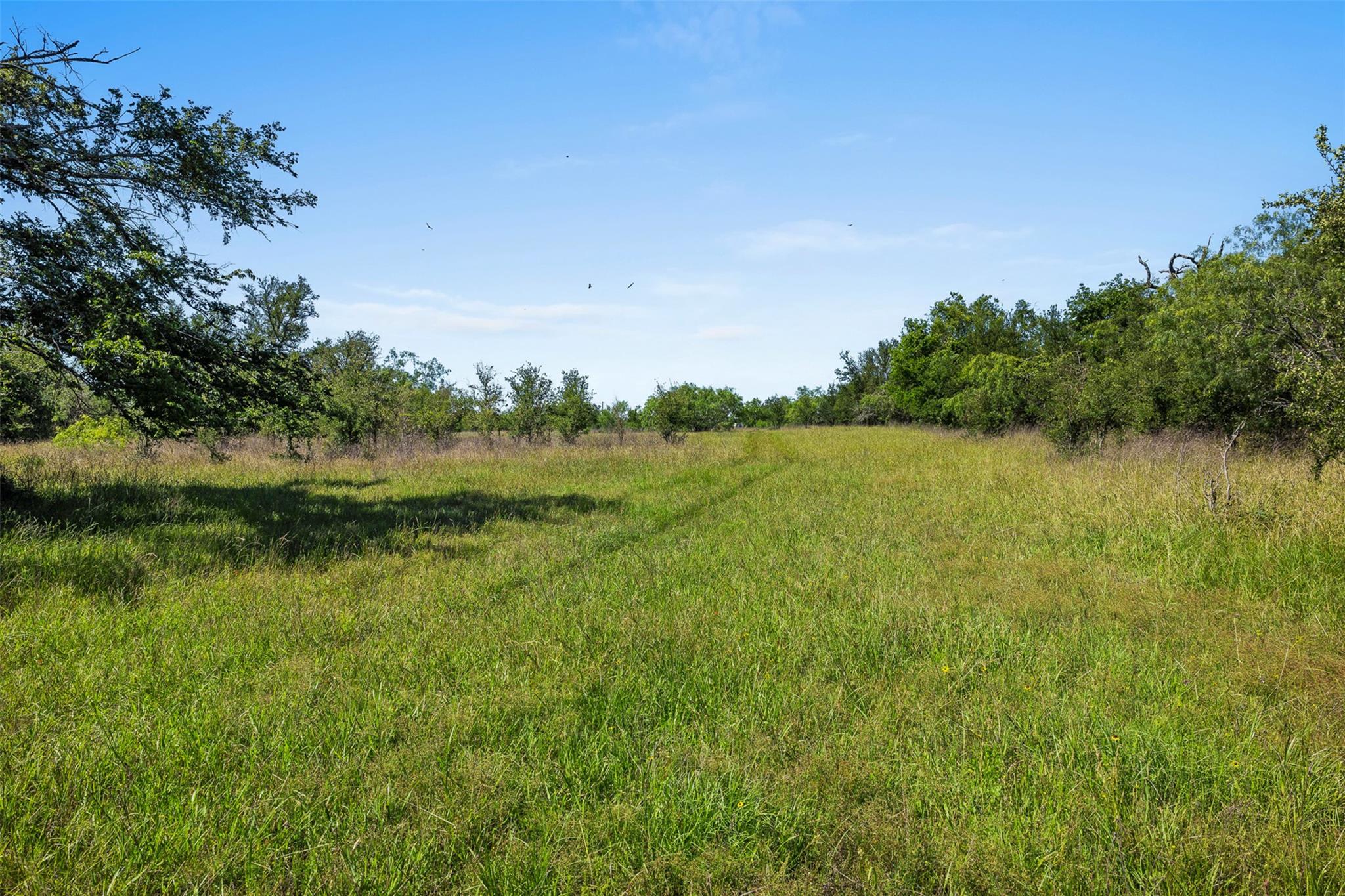 Lot 3 Tbd Farm Road 2027 Cameron TX 76520