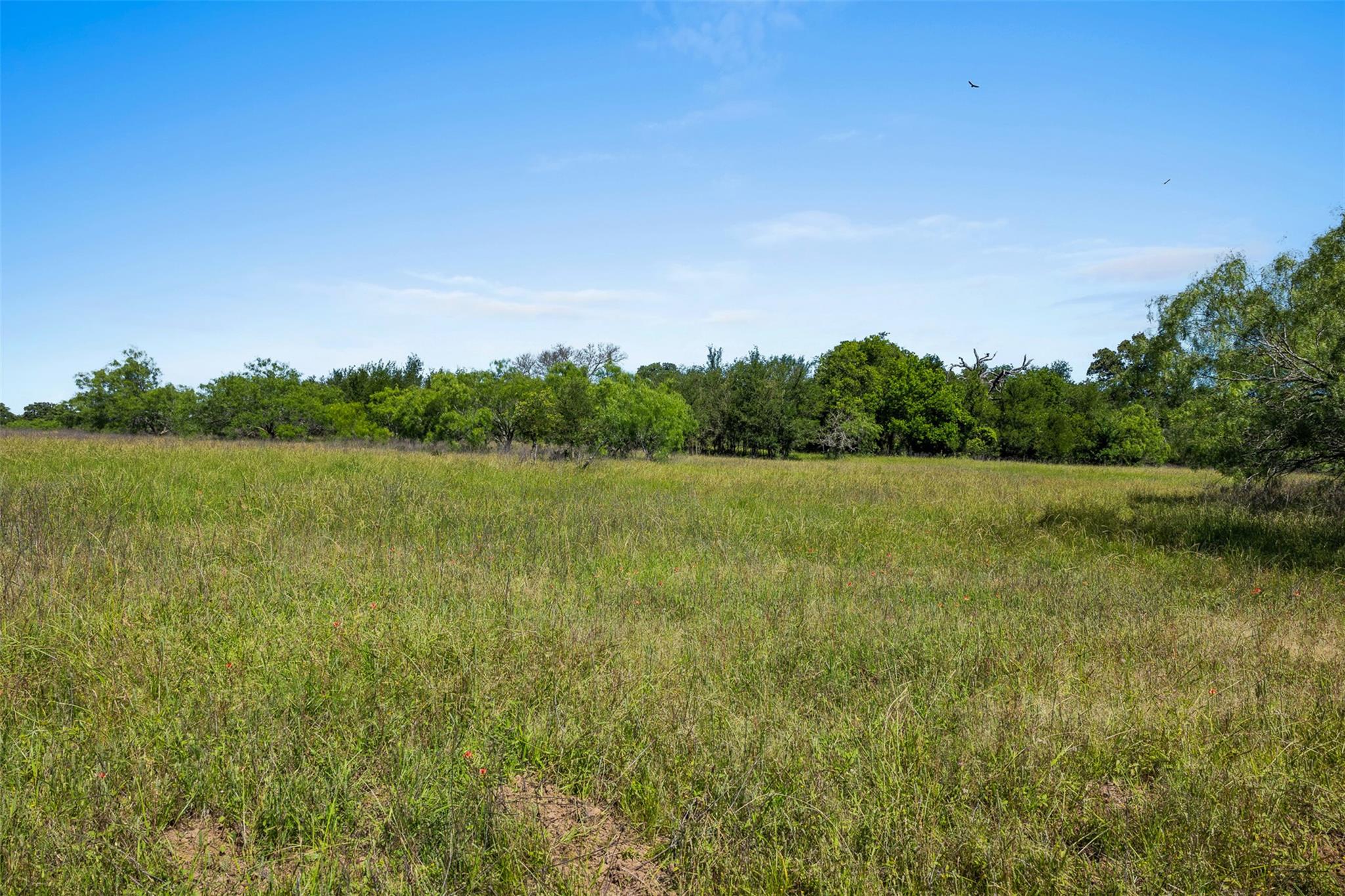 Lot 3 Tbd Farm Road 2027 Cameron TX 76520