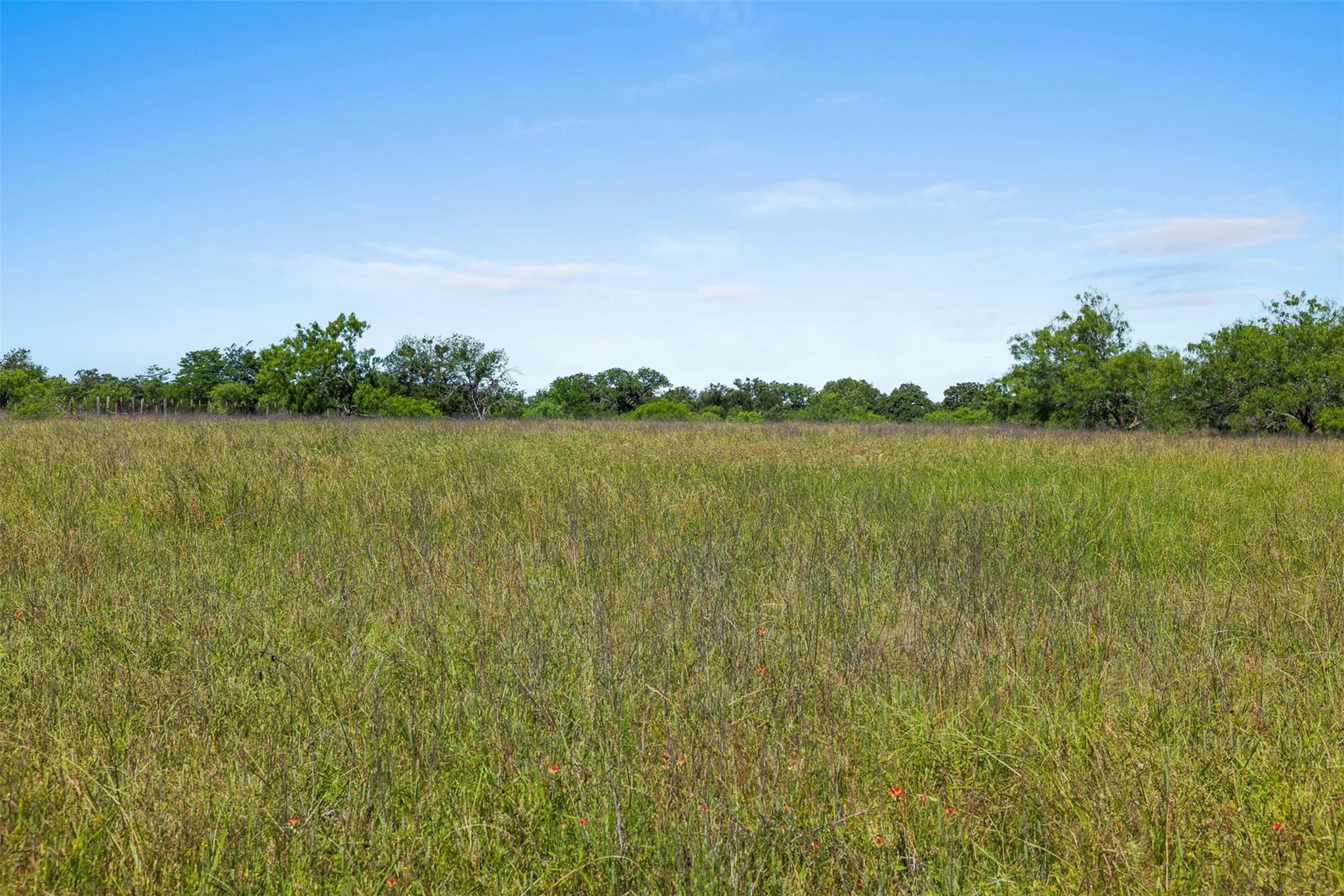 Lot 3 Tbd Farm Road 2027 Cameron TX 76520