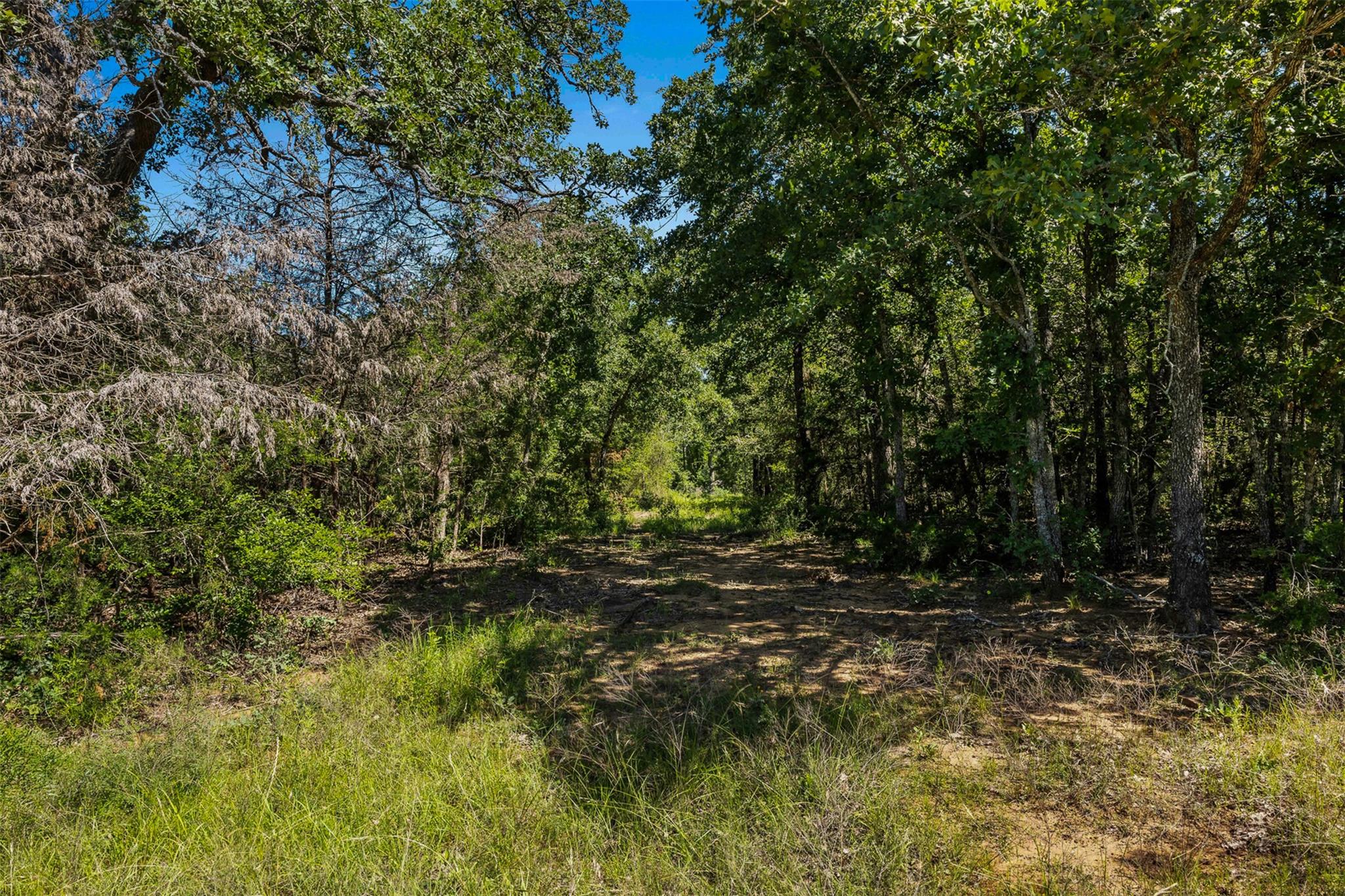 Lot 3 Tbd Farm Road 2027 Cameron TX 76520
