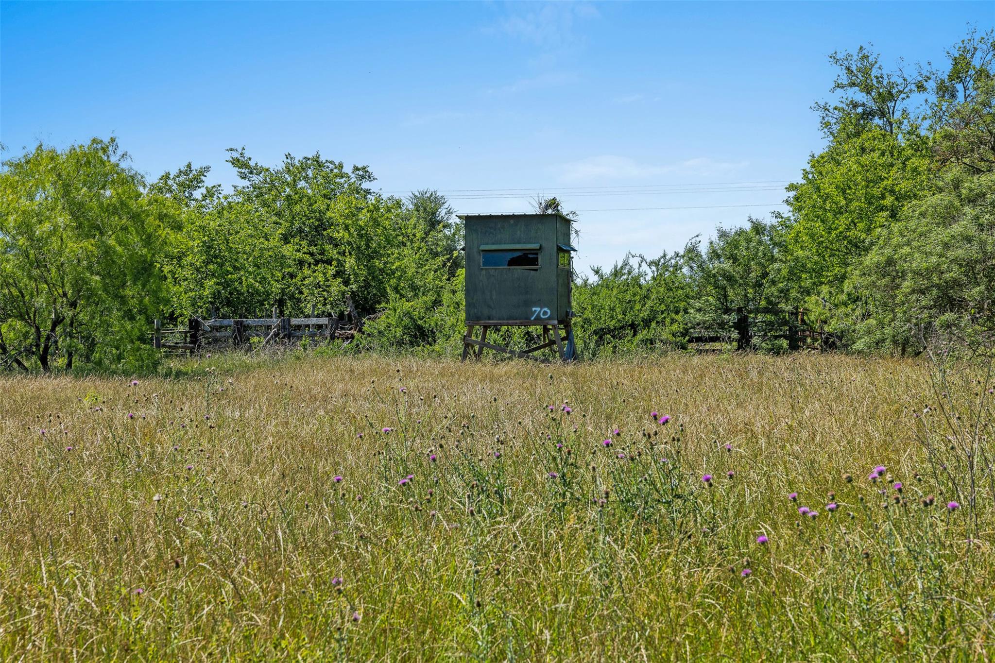 Lot 3 Tbd Farm Road 2027 Cameron TX 76520