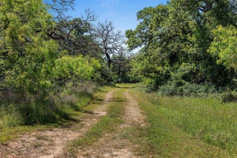 Lot 3 Tbd Farm Road 2027 Cameron TX 76520