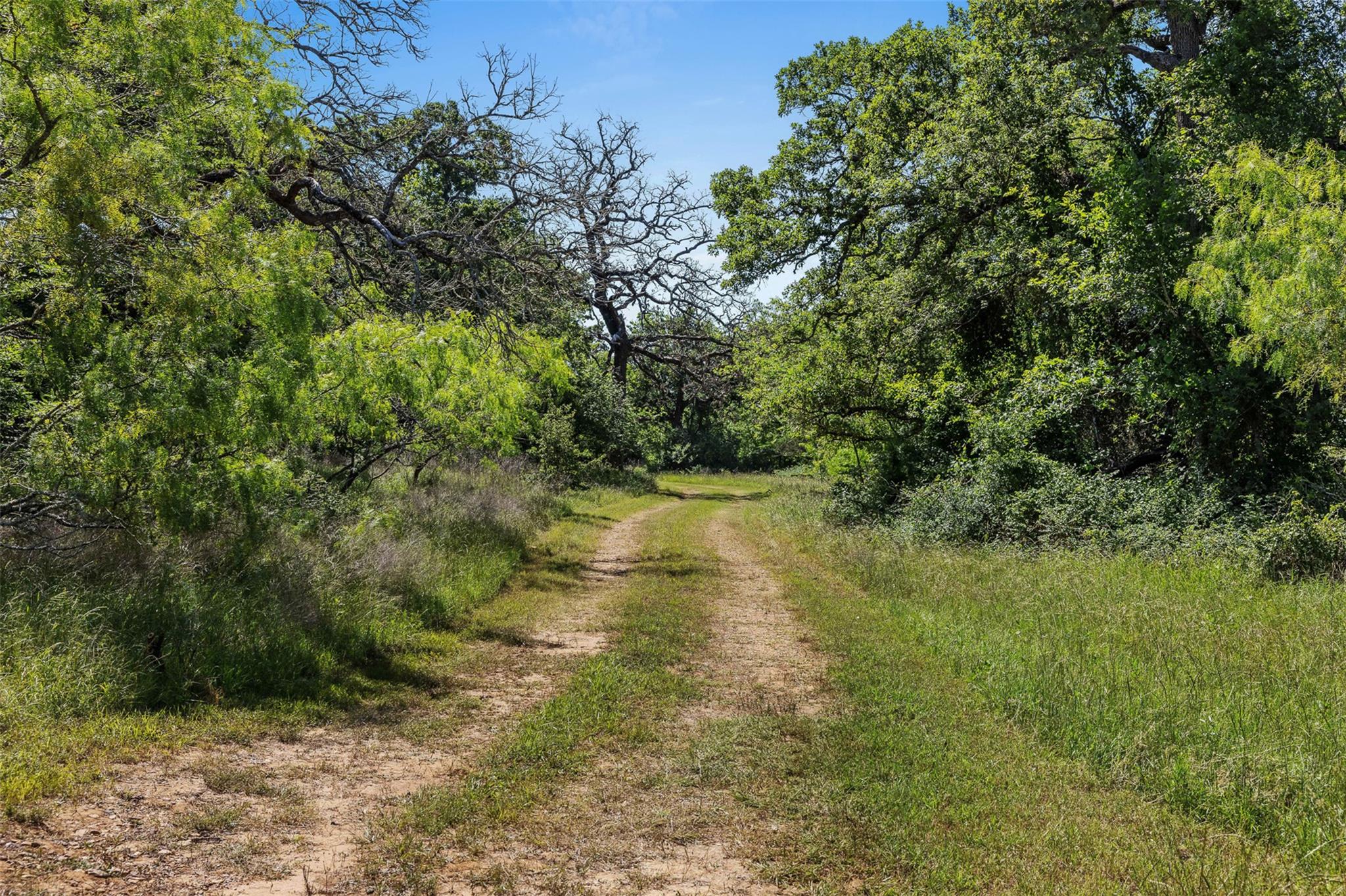 Lot 3 Tbd Farm Road 2027 Cameron TX 76520