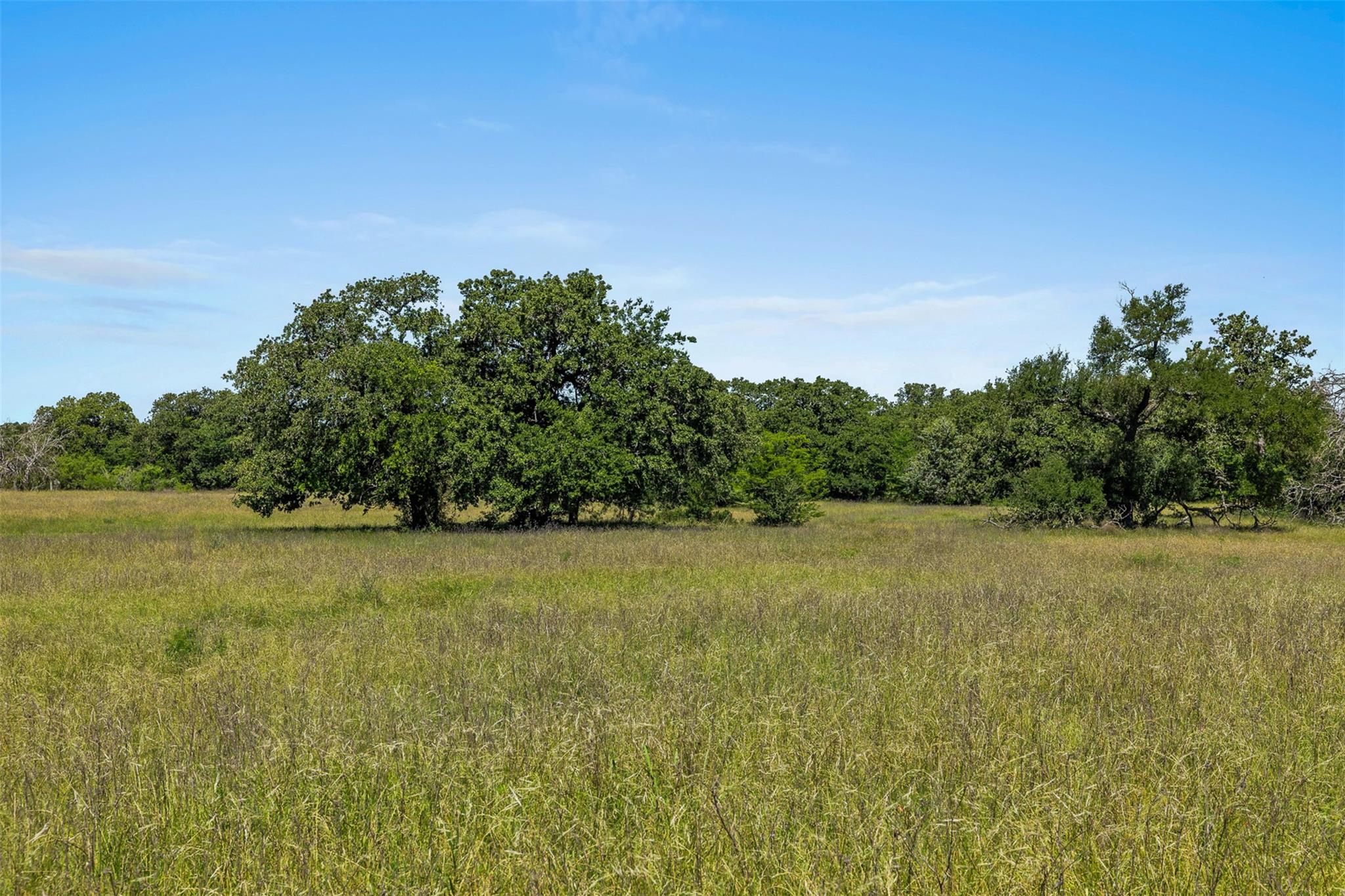 Lot 3 Tbd Farm Road 2027 Cameron TX 76520