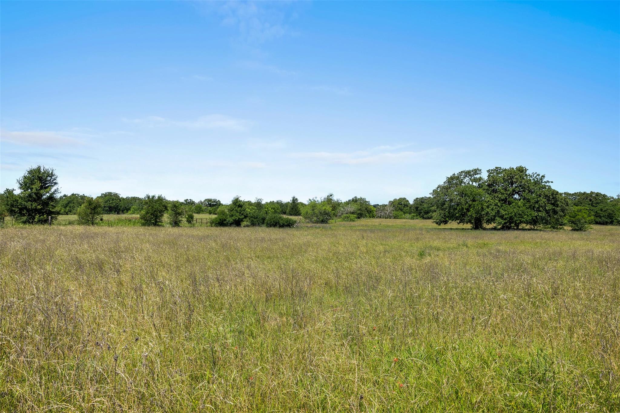 Lot 3 Tbd Farm Road 2027 Cameron TX 76520