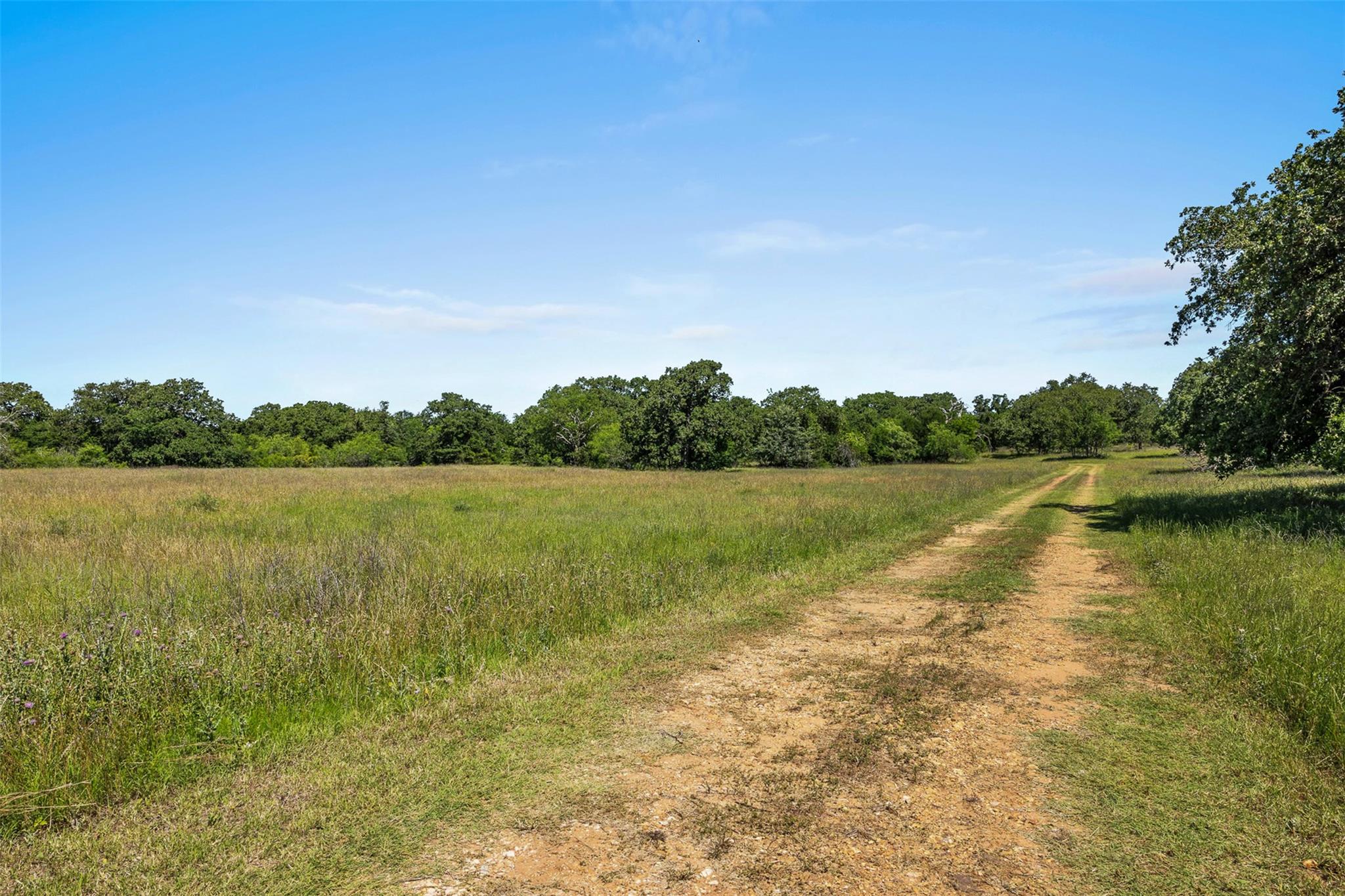 Lot 3 Tbd Farm Road 2027 Cameron TX 76520