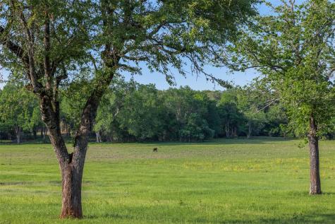 3004 County Road 310 Caldwell TX 77836