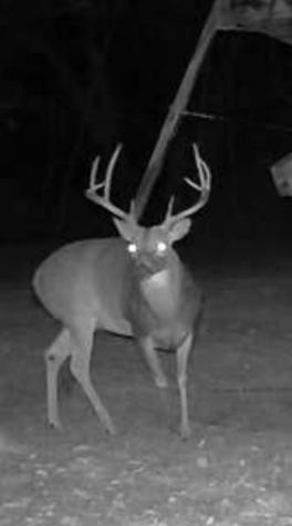 3004 County Road 310 Caldwell TX 77836