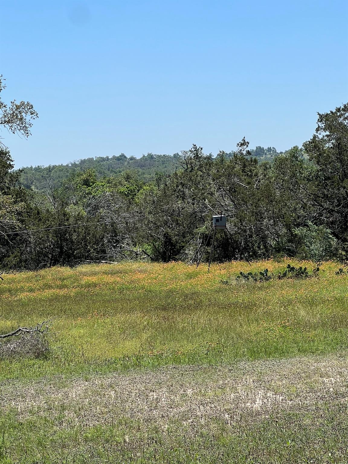 1984 N Grape Creek Road Fredericksburg TX 78624