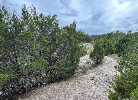 1984 N Grape Creek Road Fredericksburg TX 78624
