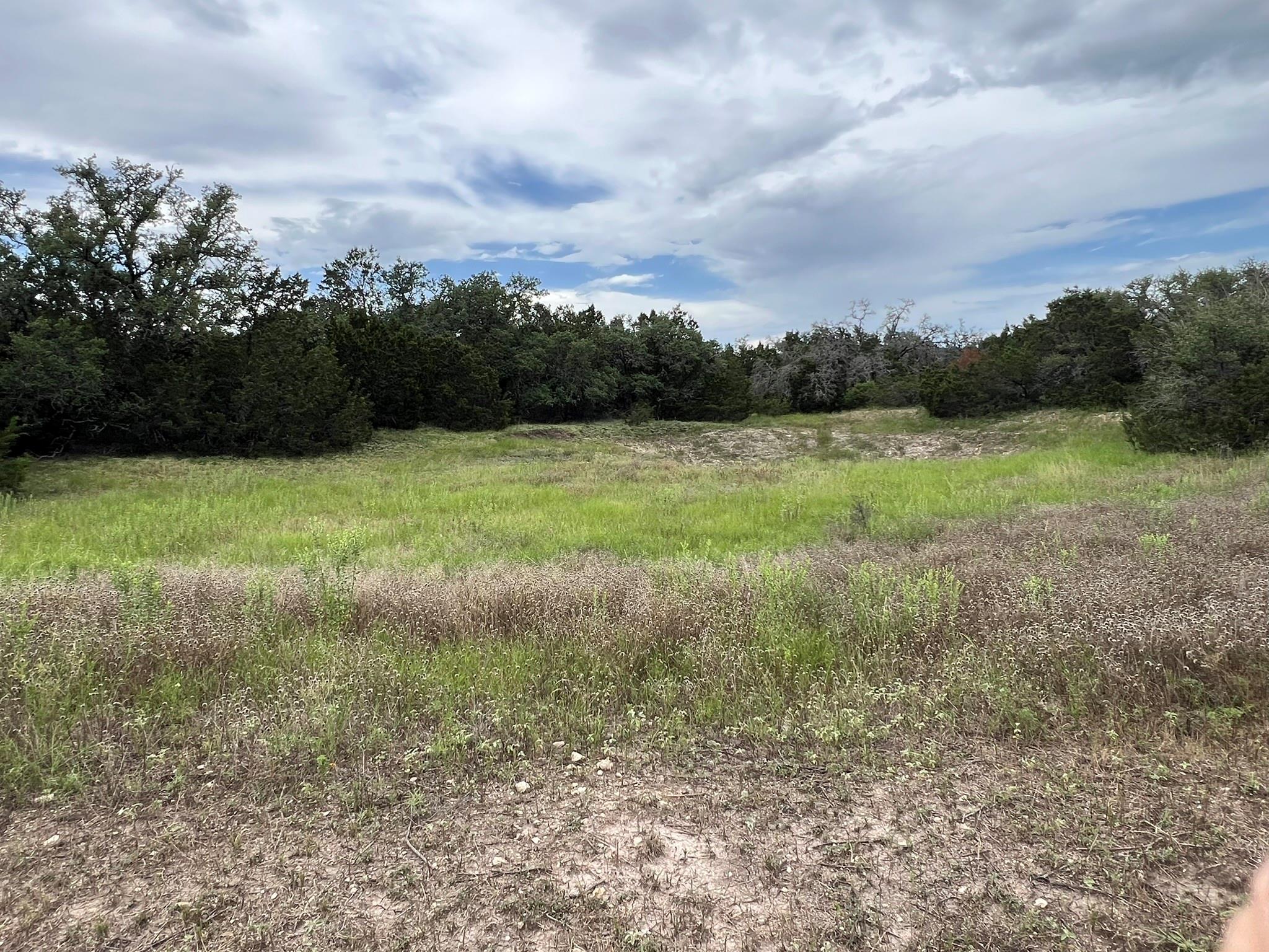 1984 N Grape Creek Road Fredericksburg TX 78624