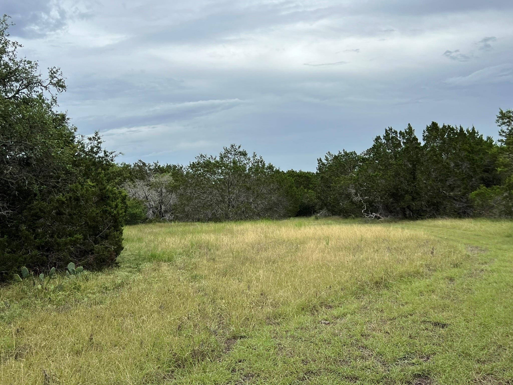 1984 N Grape Creek Road Fredericksburg TX 78624