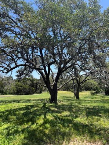 1984 N Grape Creek Road Fredericksburg TX 78624