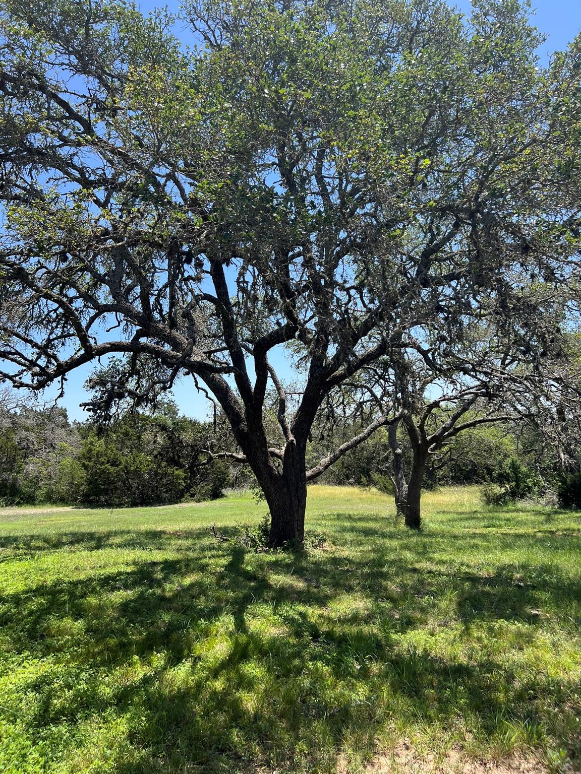 1984 N Grape Creek Road Fredericksburg TX 78624