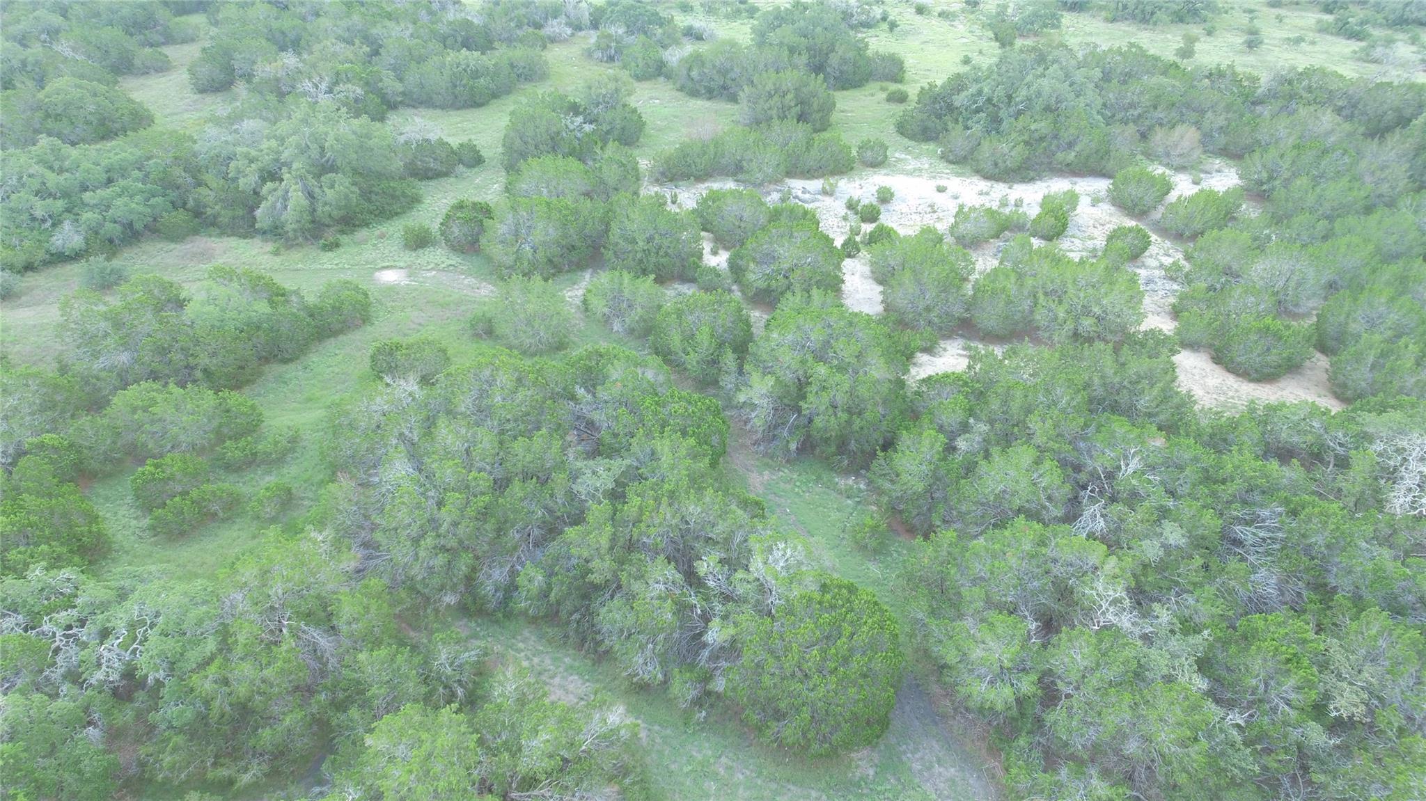 1984 N Grape Creek Road Fredericksburg TX 78624