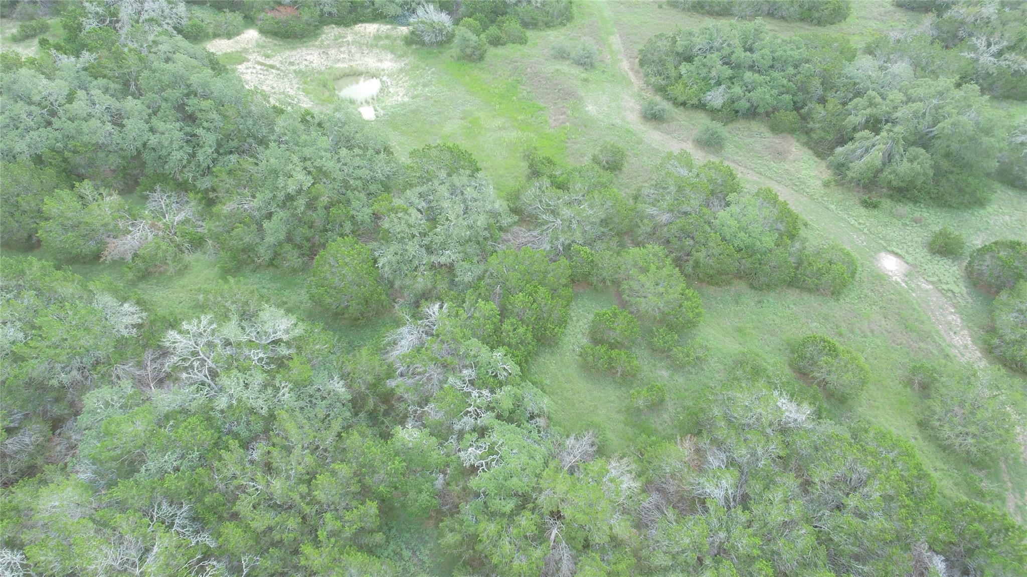 1984 N Grape Creek Road Fredericksburg TX 78624