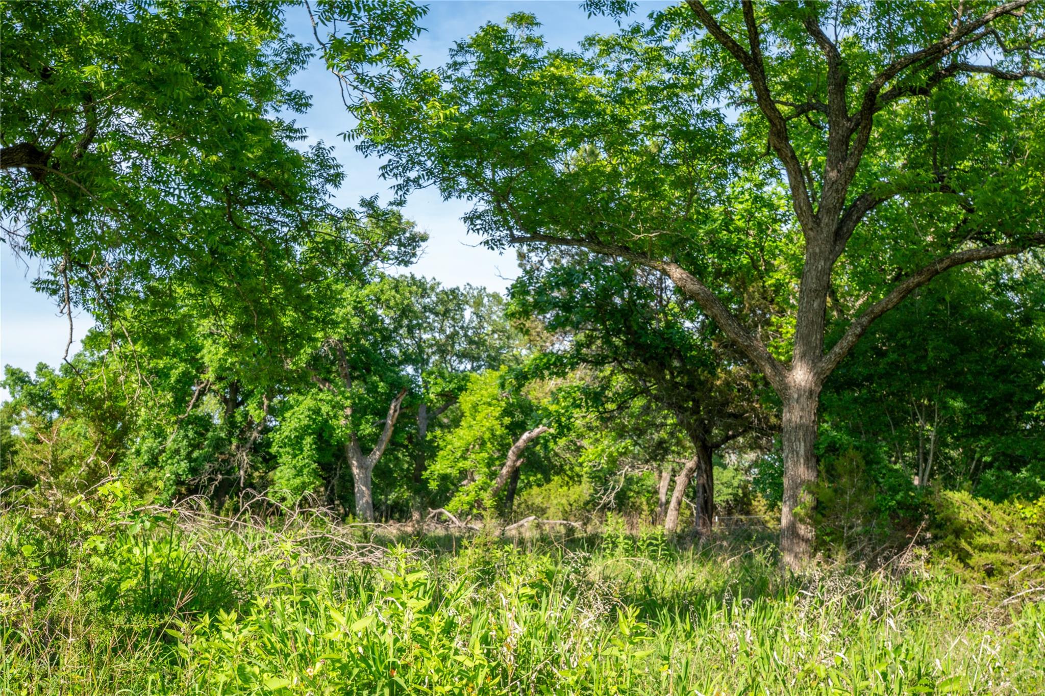 7400 Cr142 Gatesville TX 76528