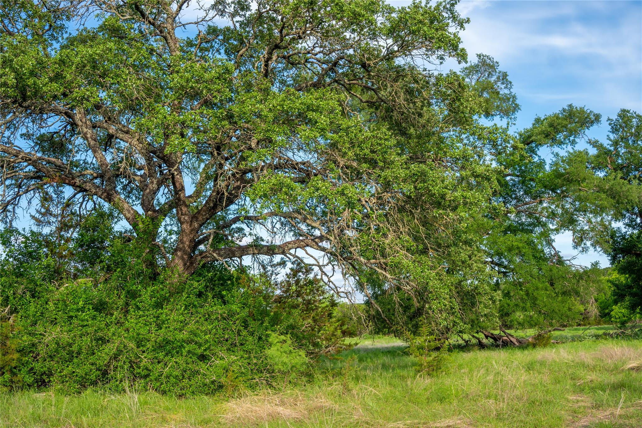 7400 Cr142 Gatesville TX 76528