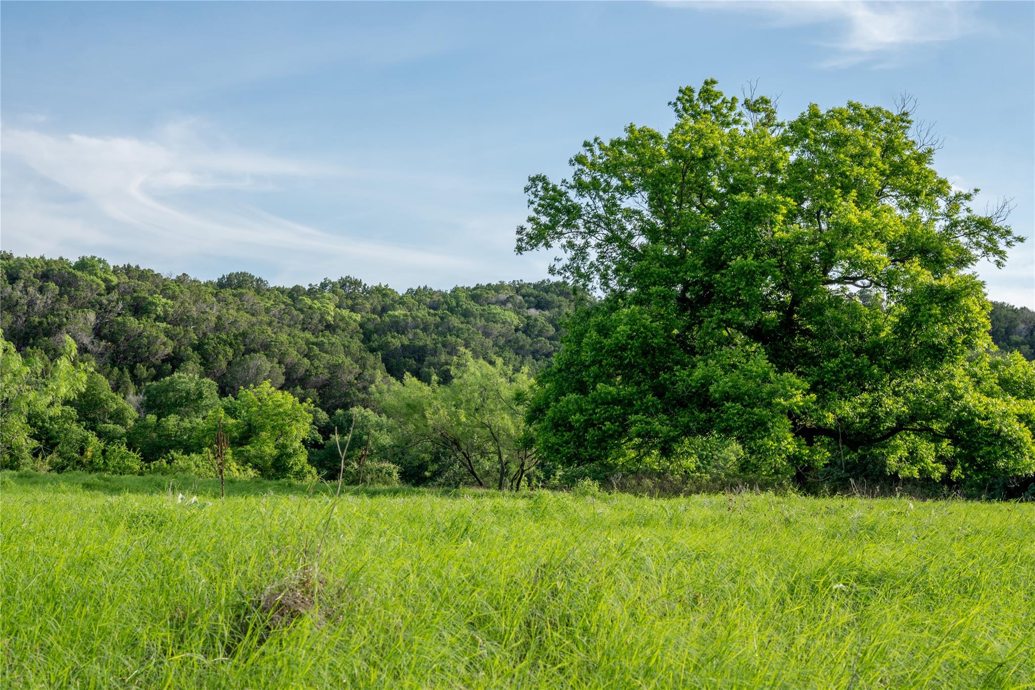 7400 Cr142 Gatesville TX 76528