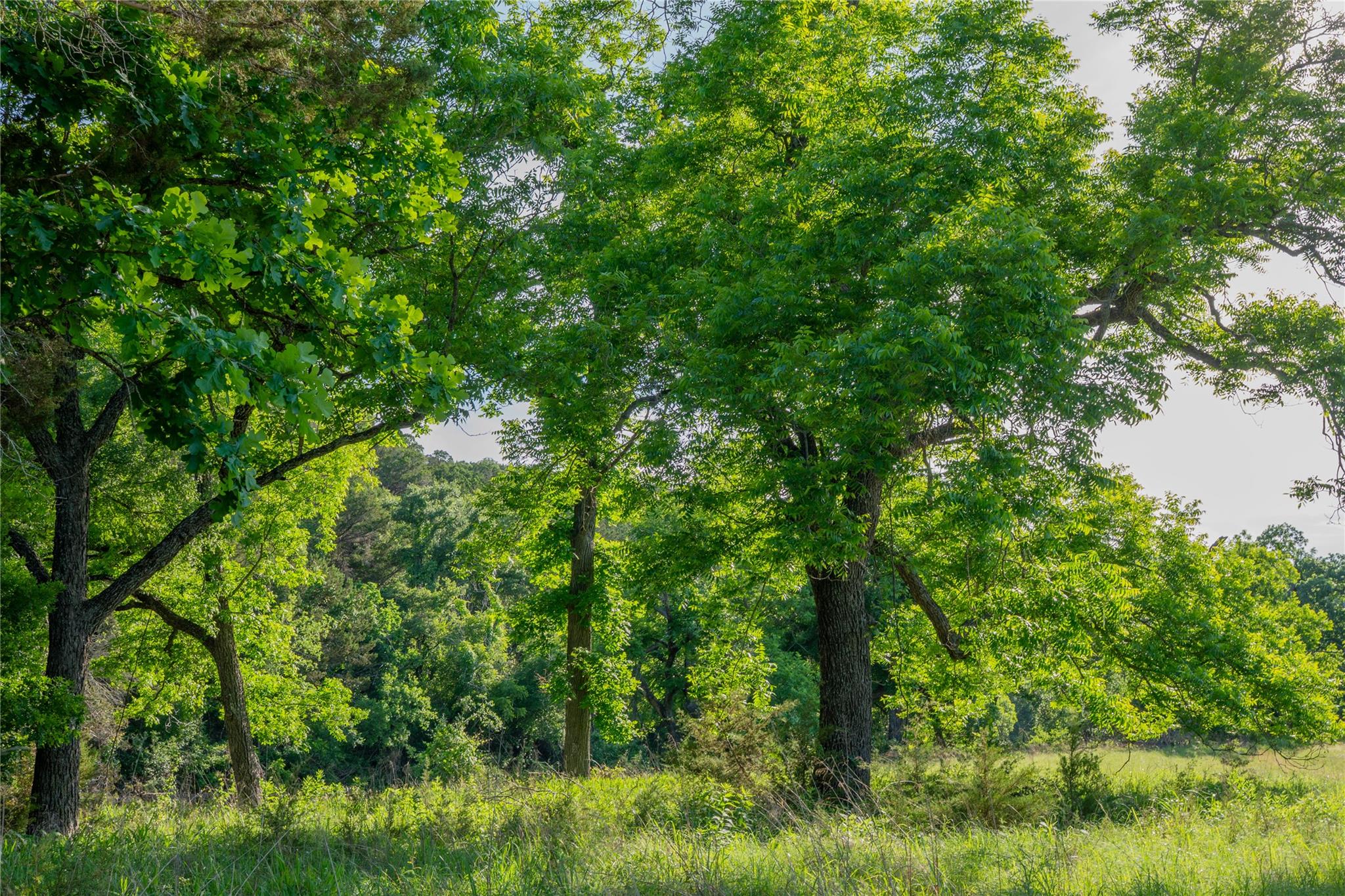 7400 Cr142 Gatesville TX 76528