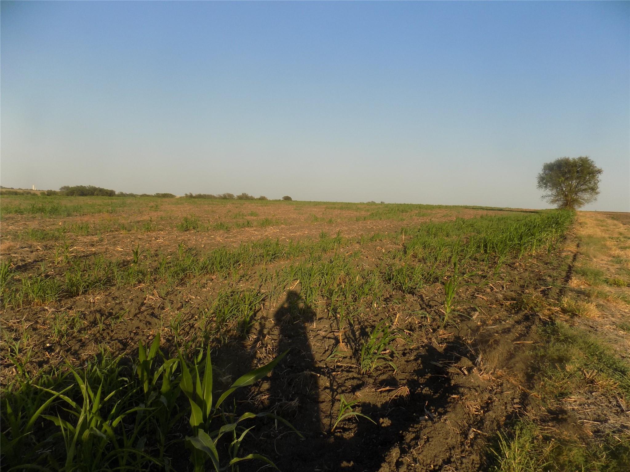 0 Krause Road Holland TX 76534
