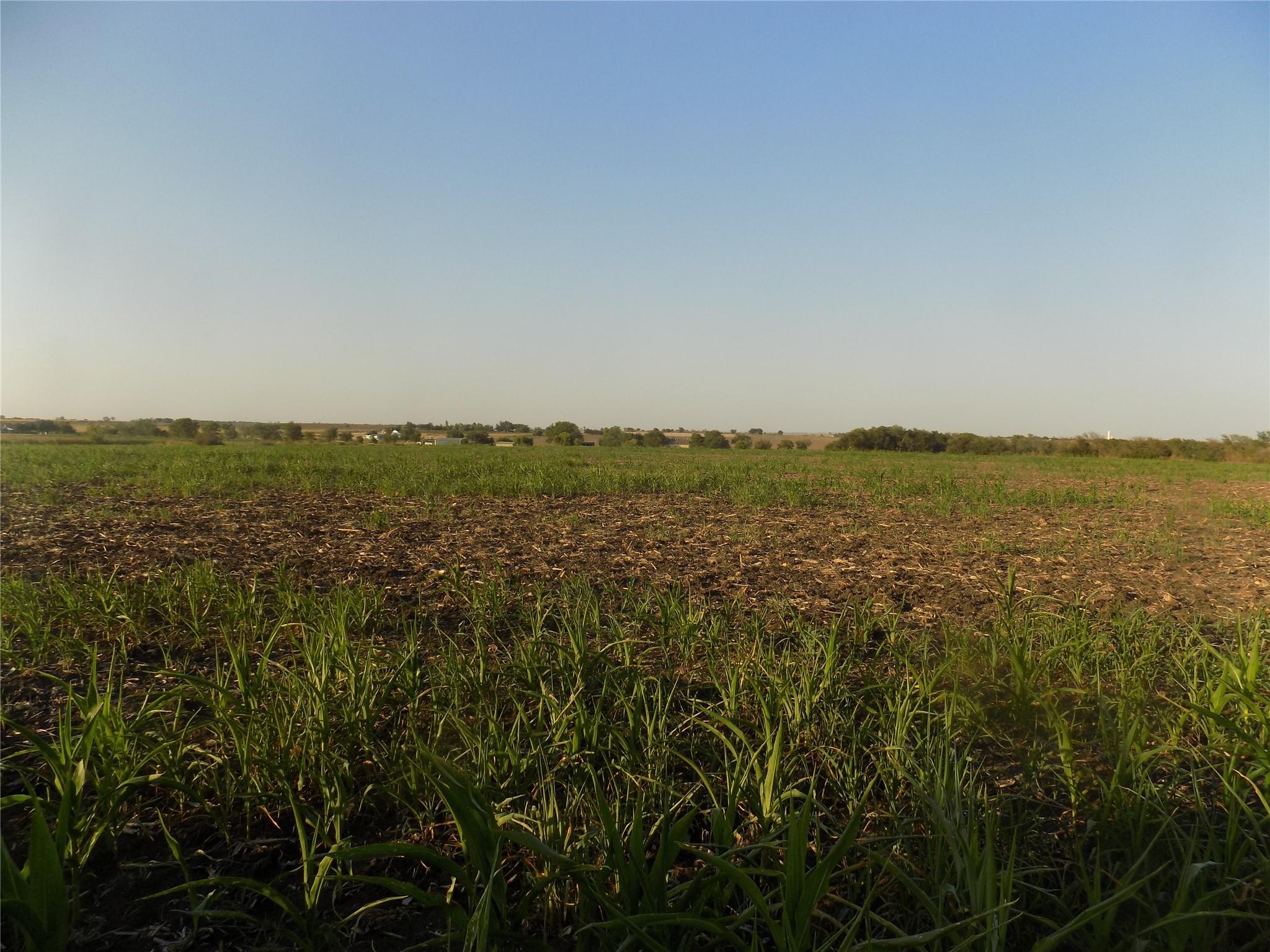 0 Krause Road Holland TX 76534