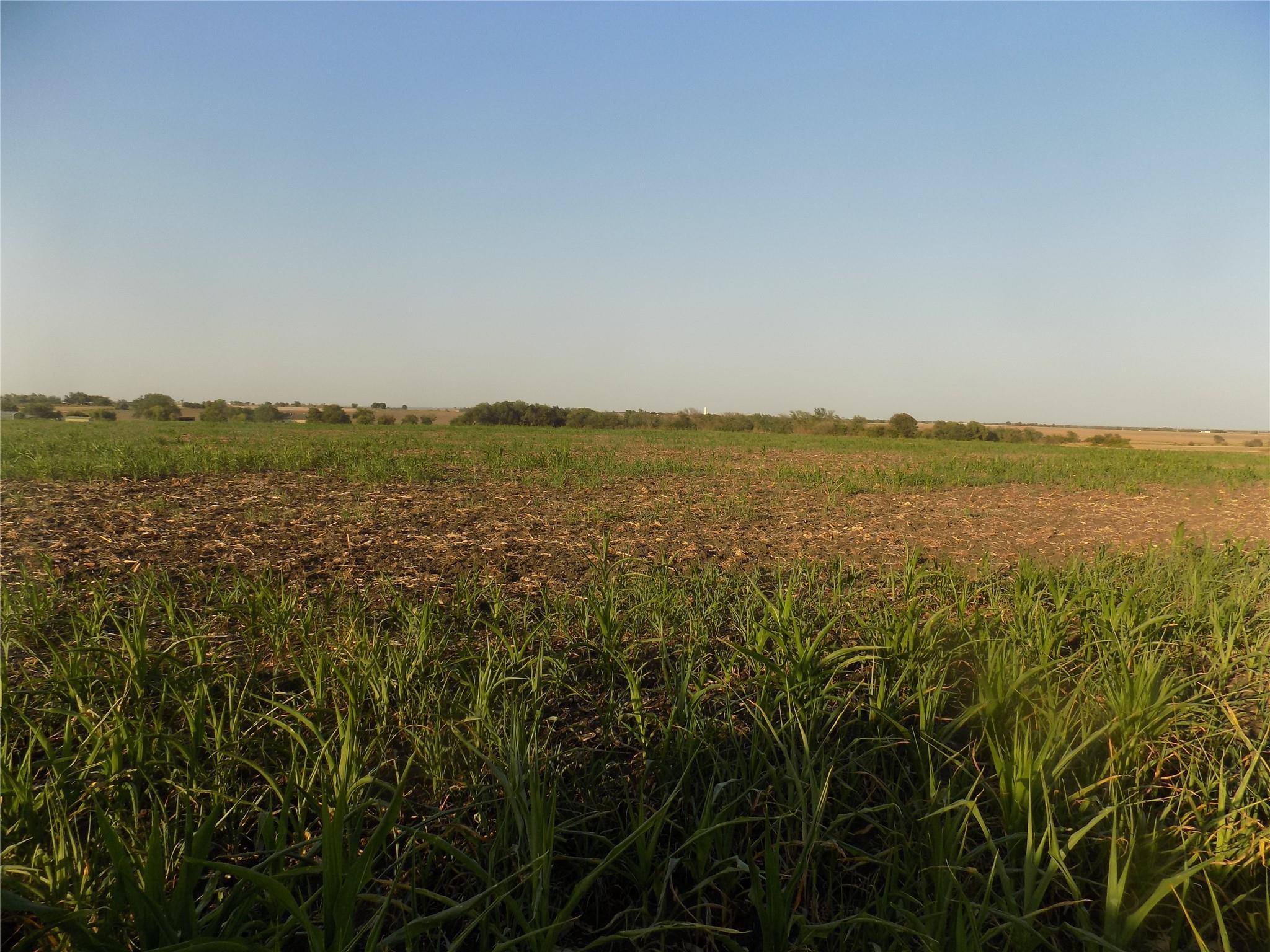 0 Krause Road Holland TX 76534