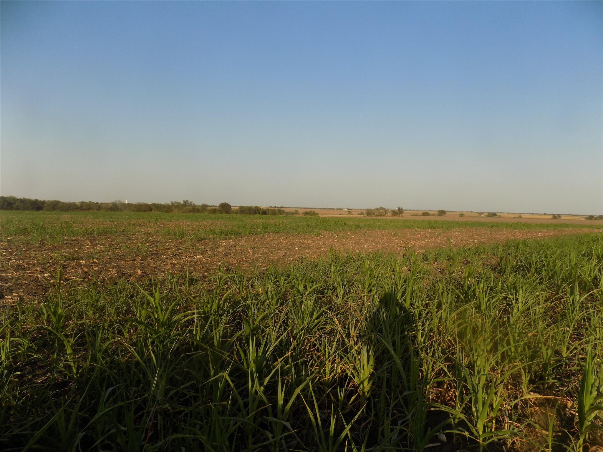 0 Krause Road Holland TX 76534