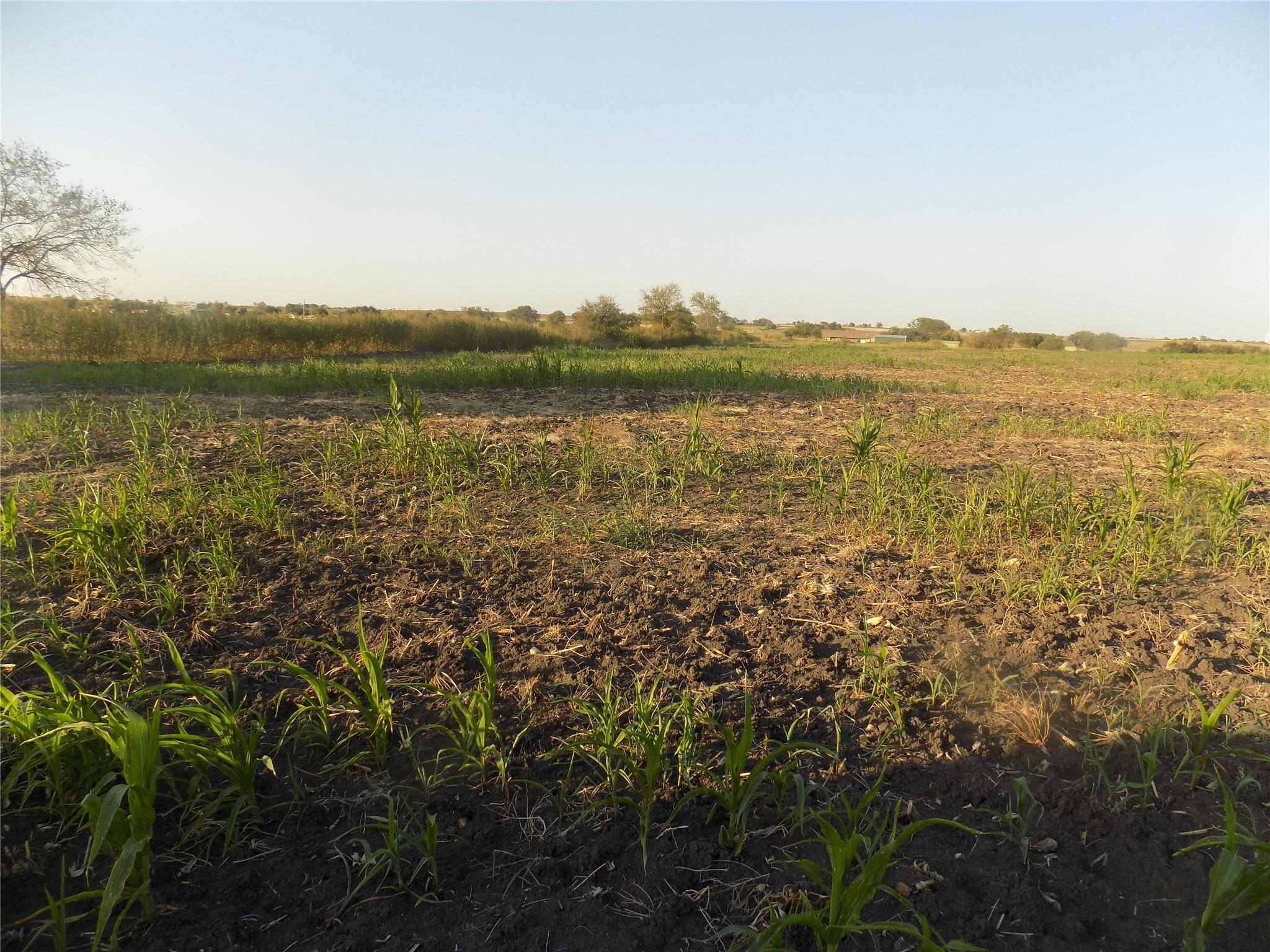 0 Krause Road Holland TX 76534