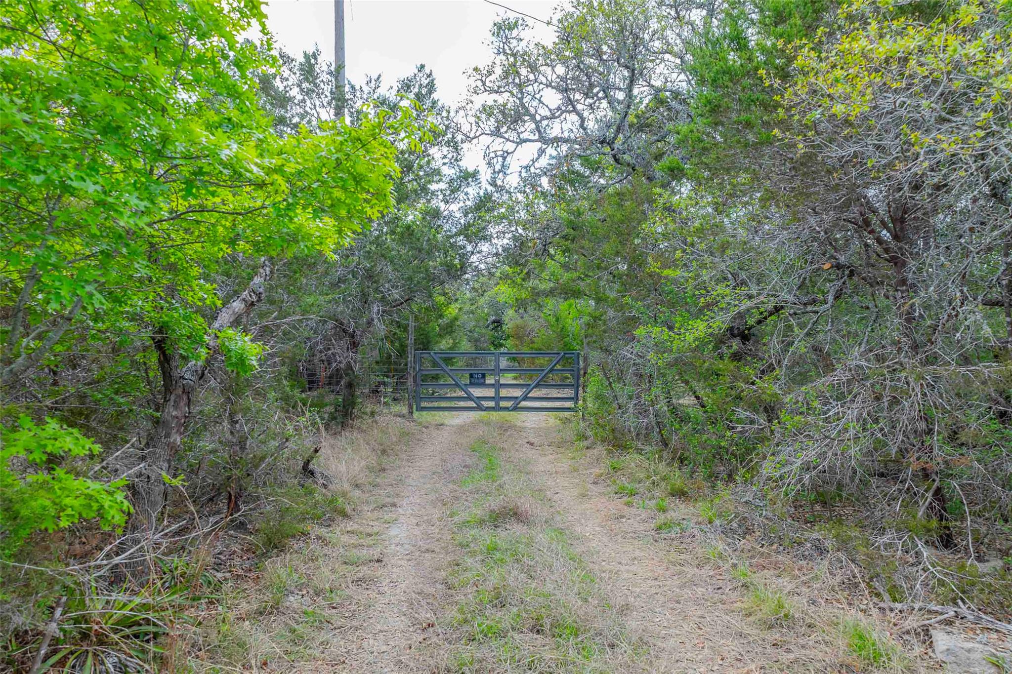 910 Abbey Road Liberty Hill TX 78642