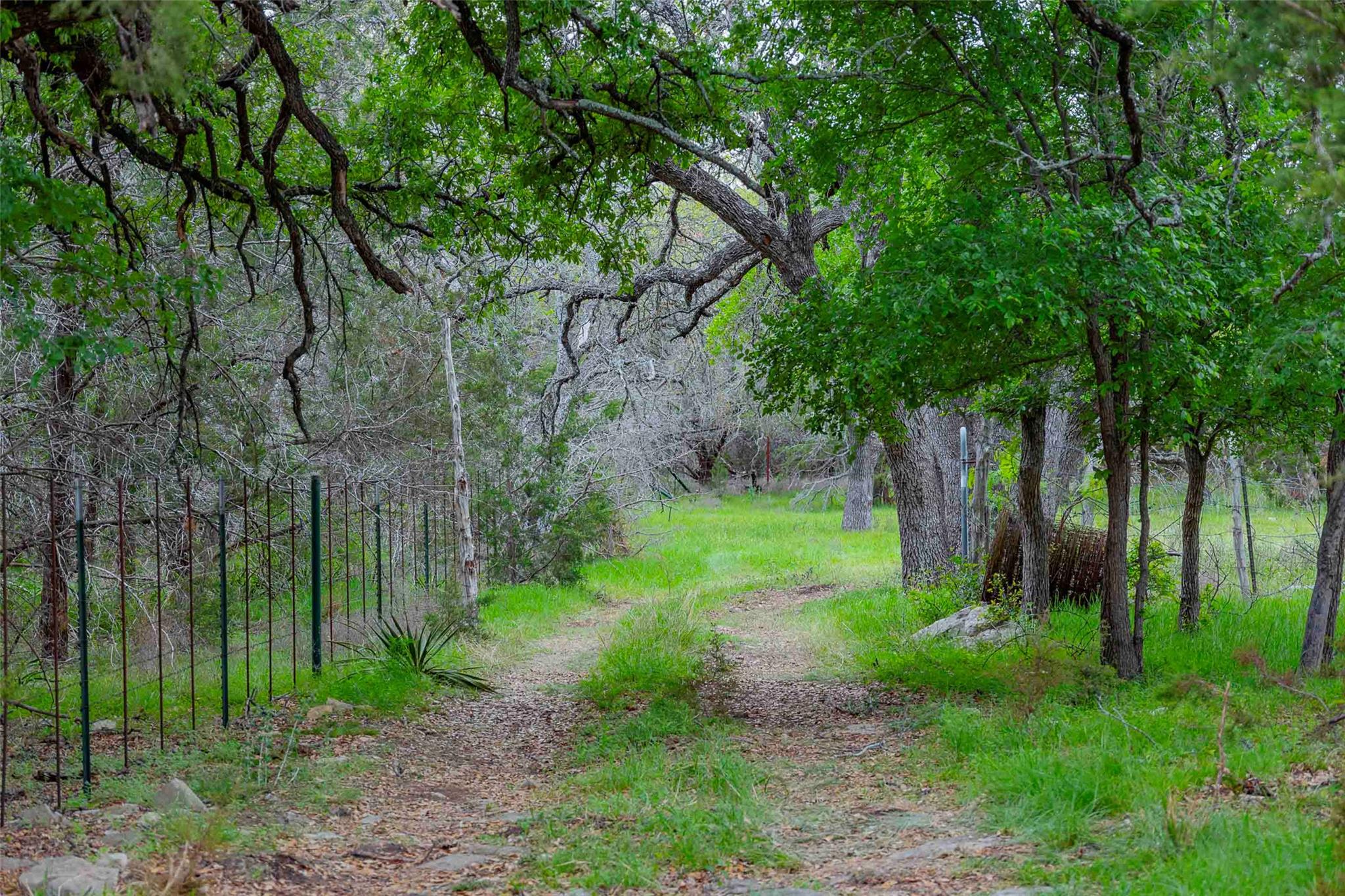 910 Abbey Road Liberty Hill TX 78642