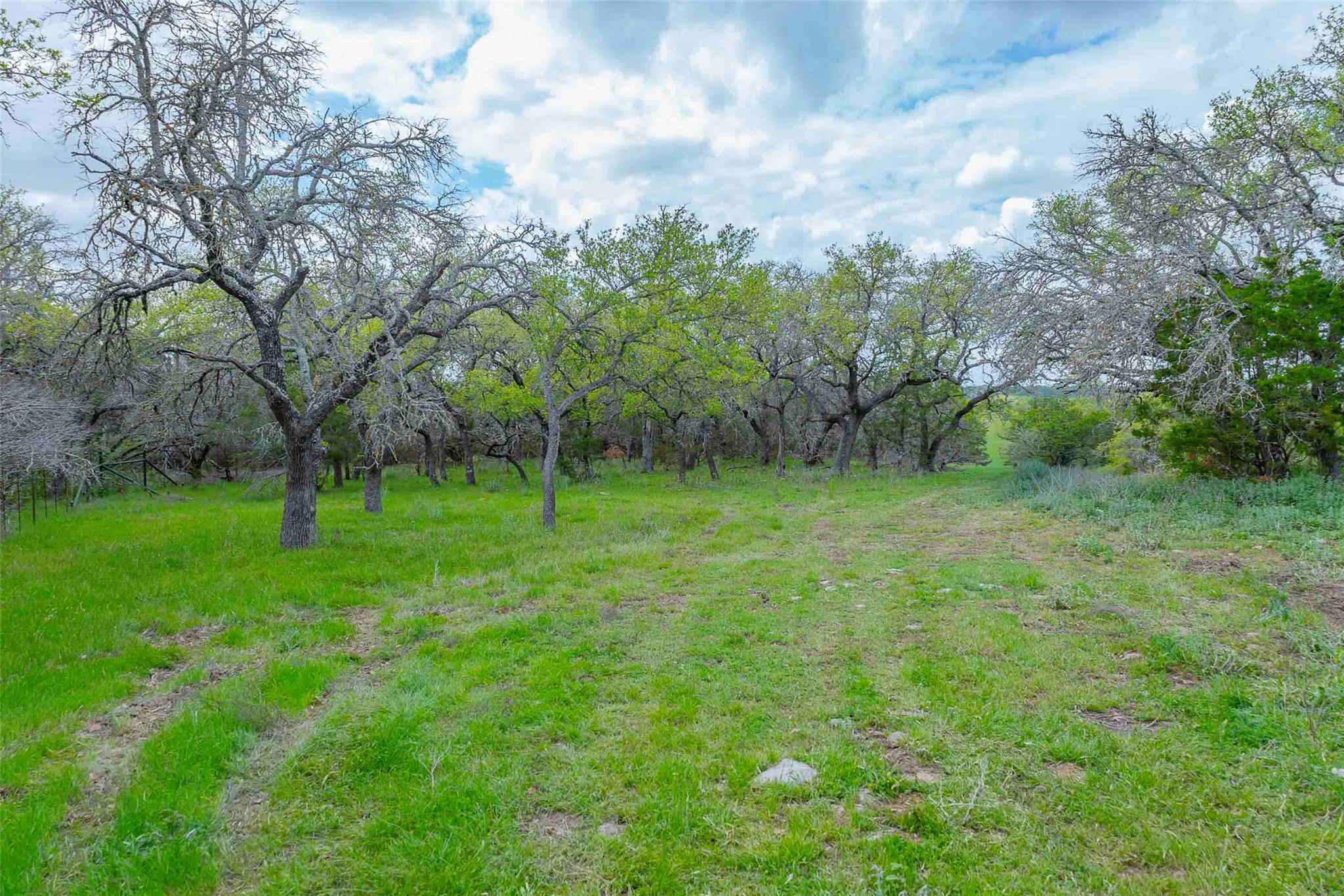 910 Abbey Road Liberty Hill TX 78642