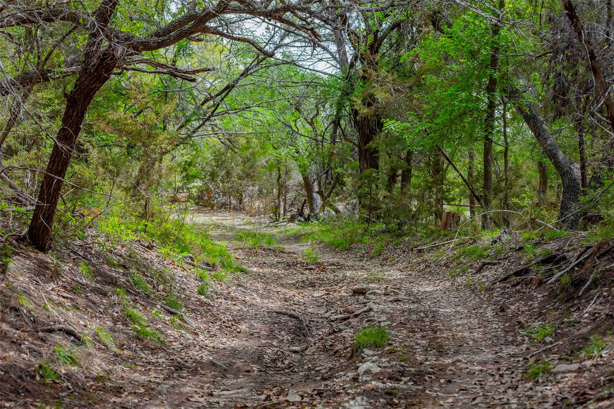 910 Abbey Road Liberty Hill TX 78642