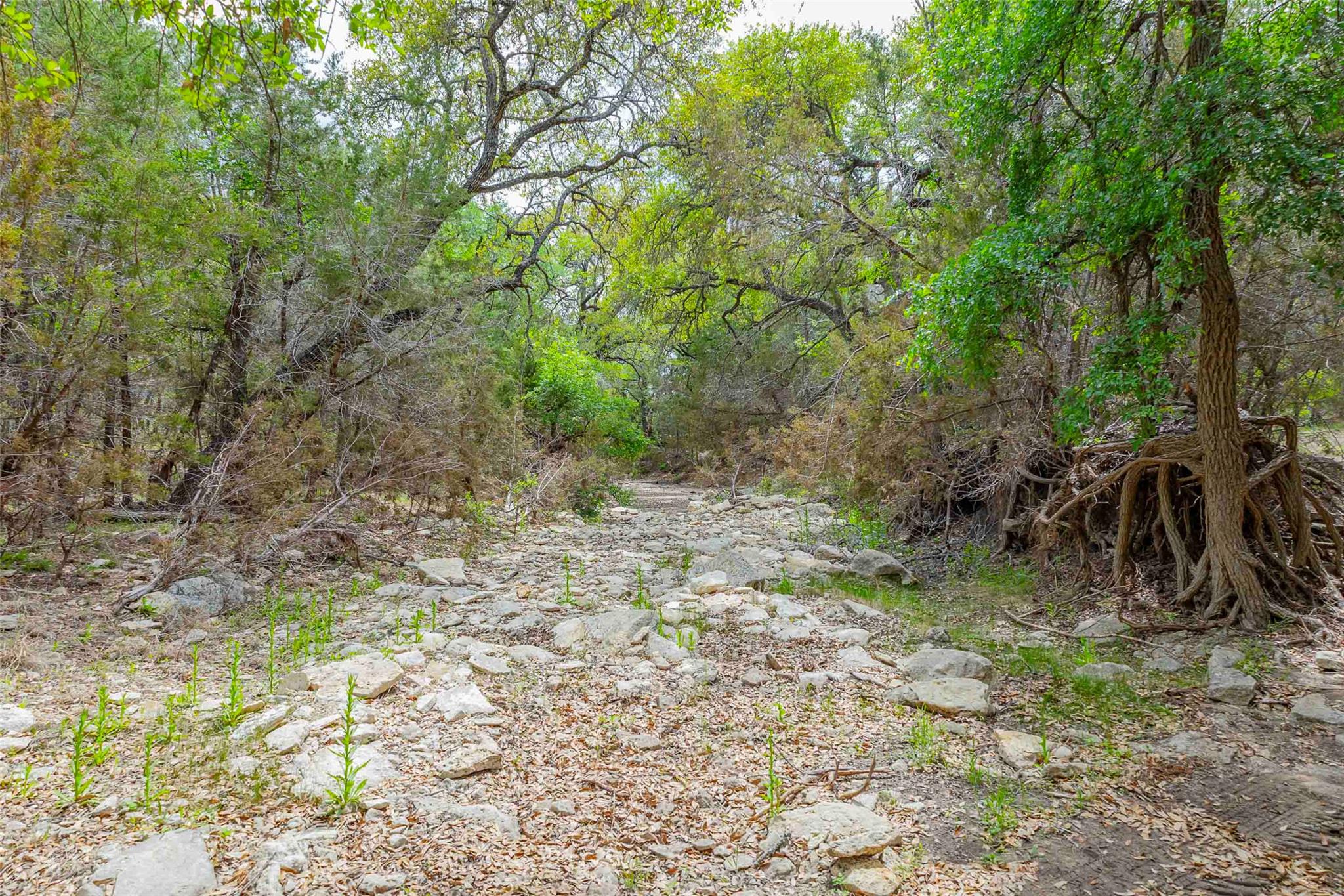 910 Abbey Road Liberty Hill TX 78642