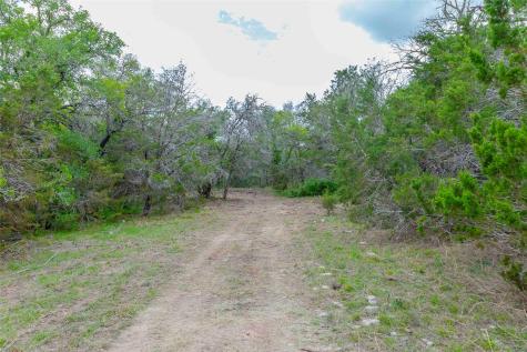 910 Abbey Road Liberty Hill TX 78642