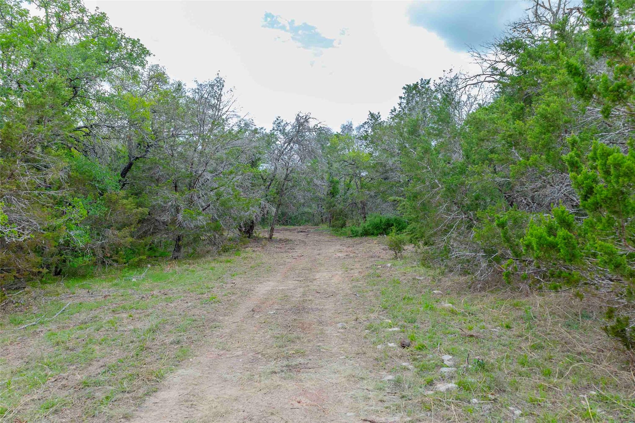 910 Abbey Road Liberty Hill TX 78642